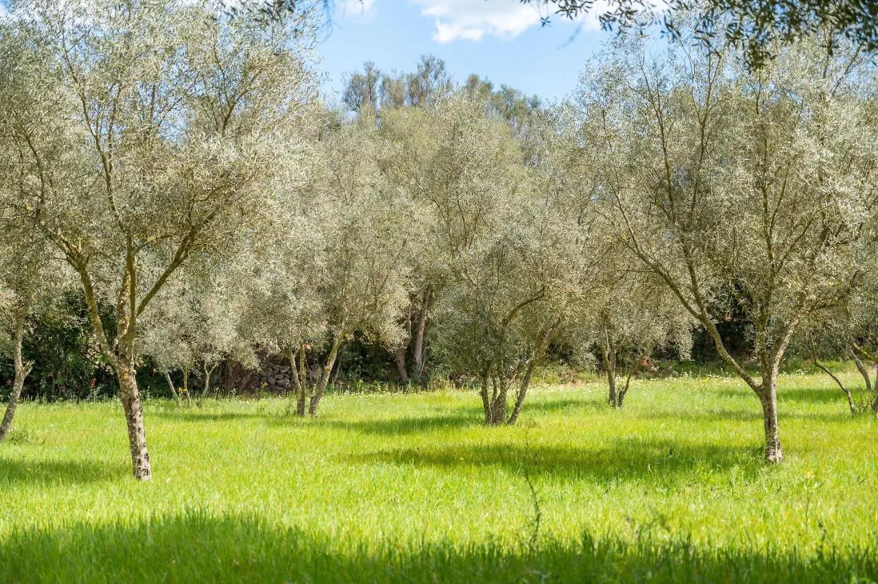הוילה קוסטיטקס Casa Groc 0*,  ספרד